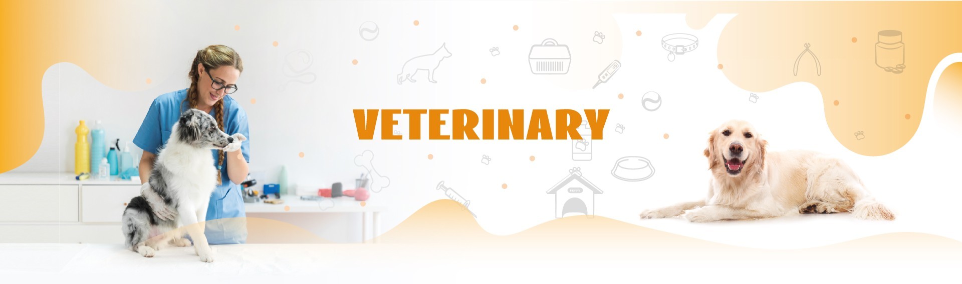 chất lượng Bộ kiểm tra nhanh thú y Dịch vụ