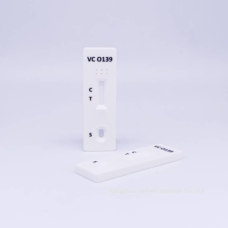 Vibrio cholerae O1/O139 Rapid Test (Feces) With CE